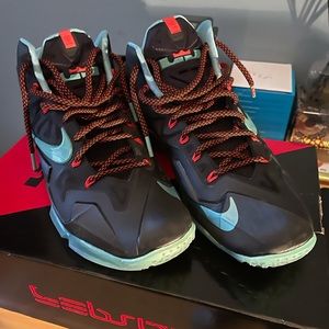 Nike lebron xl